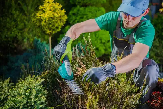landscaping services Malden